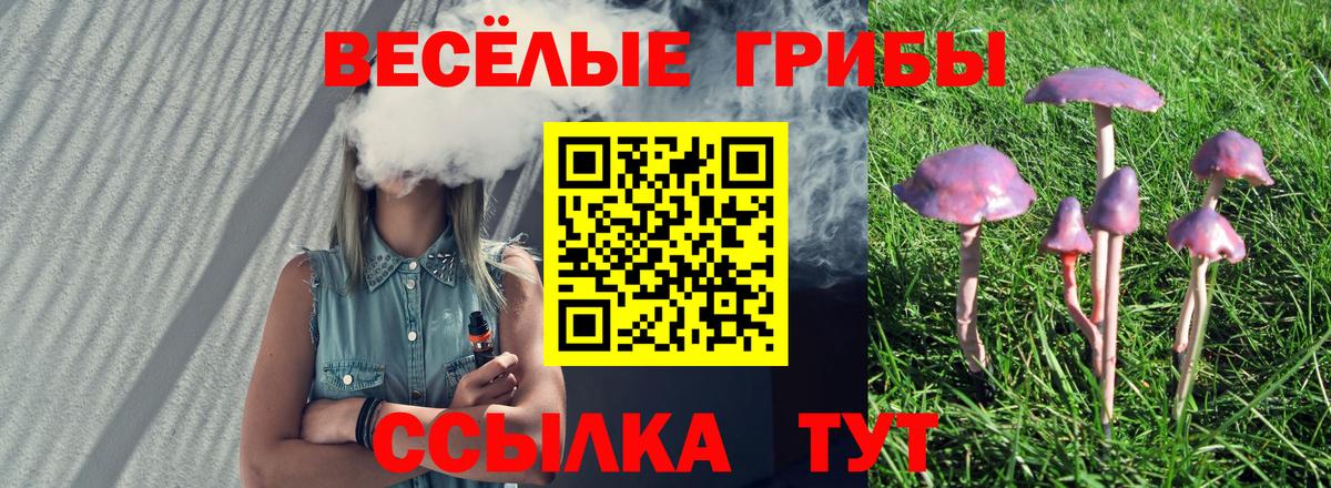 Галлюциногенные грибы мухоморы Россия