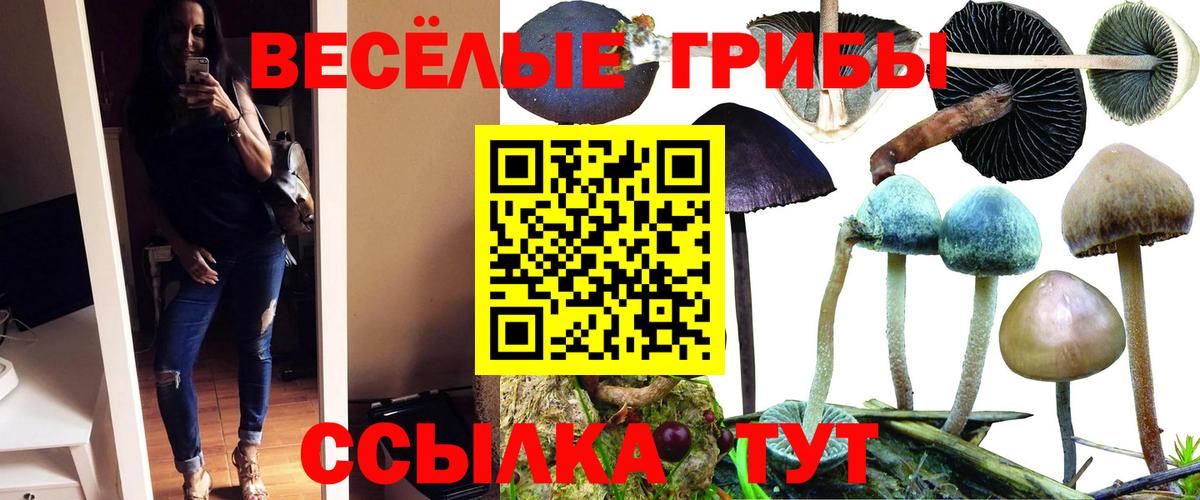 ГАШИШ Россия