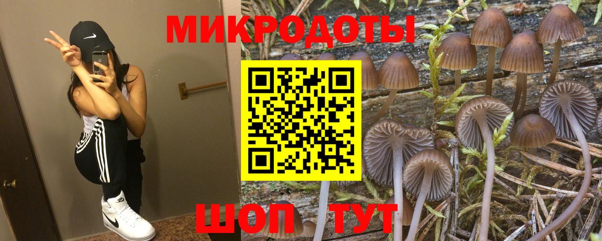 где купить наркоту  Псилоцибиновые грибы GOLDEN TEACHER  Россия  Вход с VPN  Галлюциногенные грибы мухоморы 
